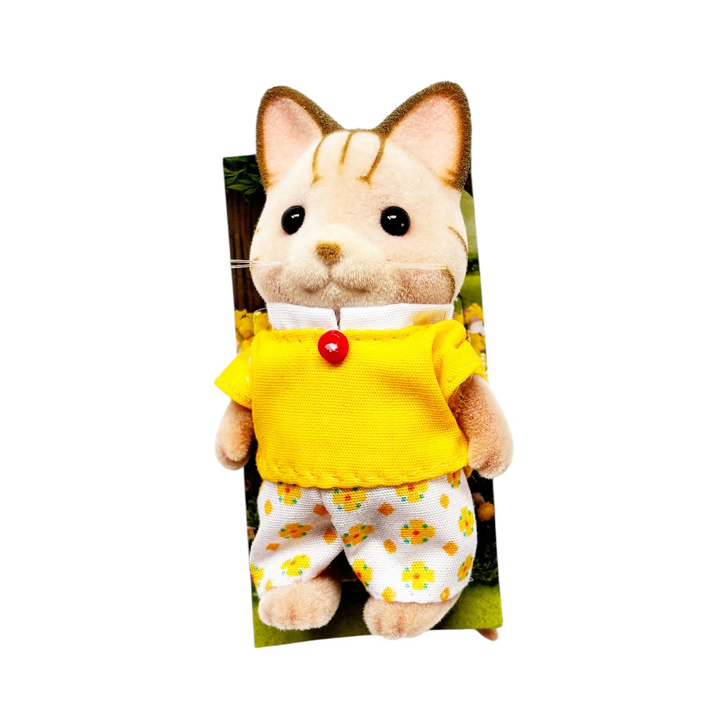 Ternurín de de perrito o gatito